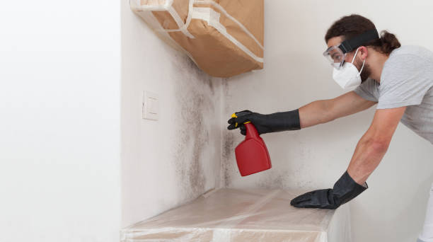 Professional Black Mold Remediation technician working in Holly Springs, NC