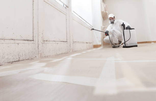 24/7 Emergency Black Mold Remediation experts in Holly Springs, NC