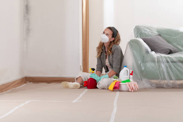 Reliable Black Mold Remediation contractor in Holly Springs, NC by Mold Remediation HQ